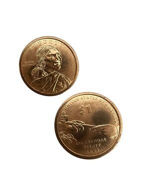 2011 P Sacagawea Native American Dollar